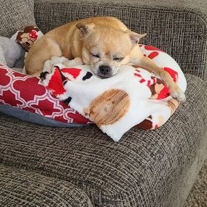 Meet your Posher, Casandra